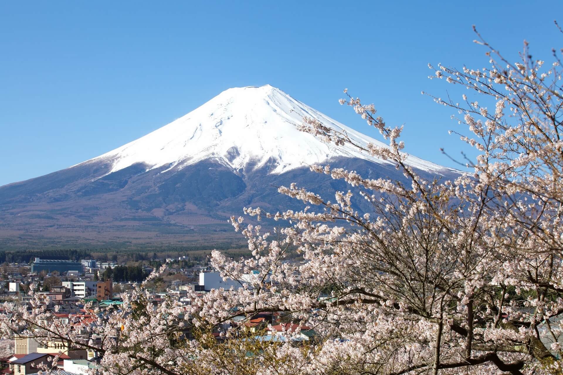 日本